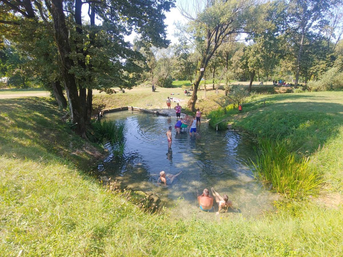 Holiday Home Toplica Natura With Natural Thermal Bath Cerklje ob Krki Dış mekan fotoğraf
